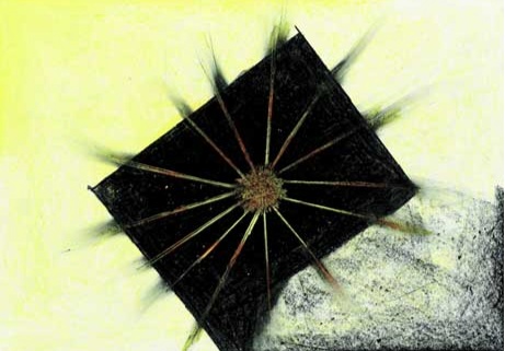 1308_gott