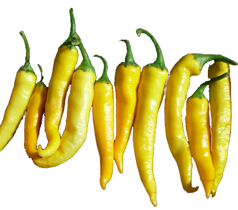1509-HoChiMinhHotPepperFR
