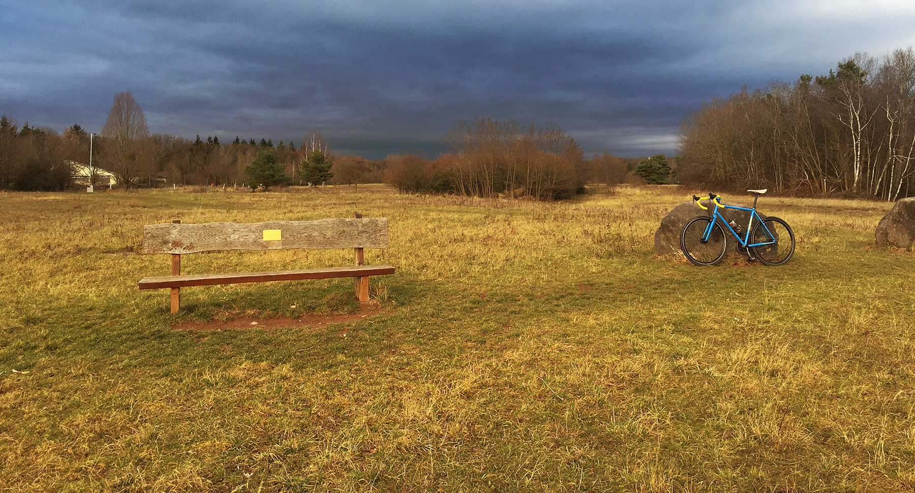1512_waldheide
